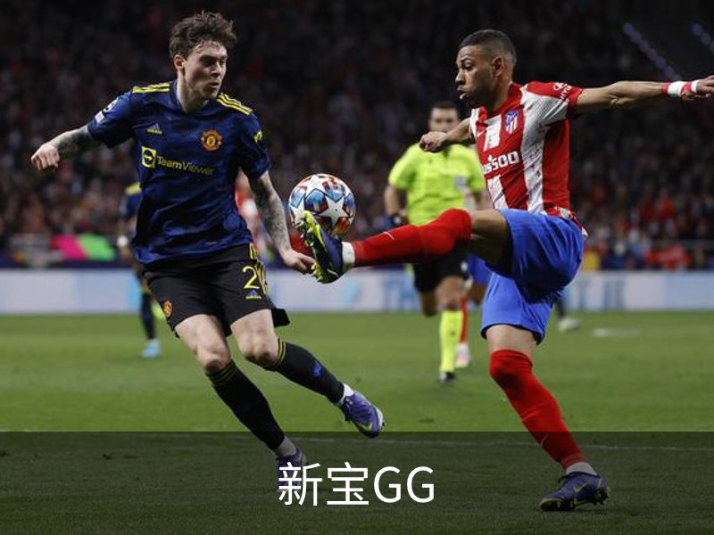 关于新宝GG